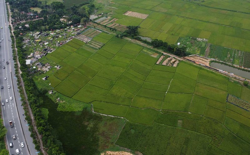đất trong quy hoạch