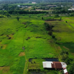 Quyết định thu hồi đất