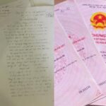 xr:d:DAF1dj_UoCs:2,j:8460422526930234114,t:23112814