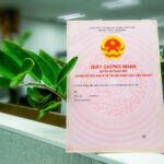 Người cao tuổi đi làm giấy tờ nhà đất cần lưu ý gì? giay-to-de-duoc-cap-so-do_2609232016