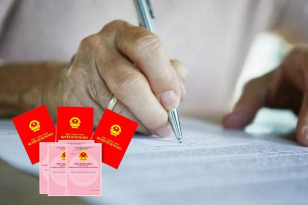 Di chúc của người đứng tên sổ đỏ cho nhiều người