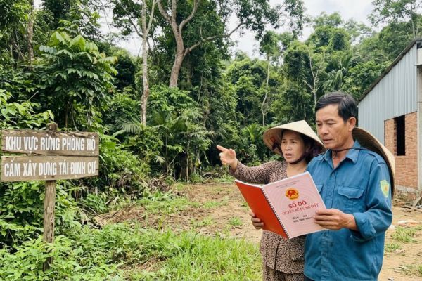 Mua nhà đất có sổ đỏ nhưng đất trong vùng rừng phòng hộ